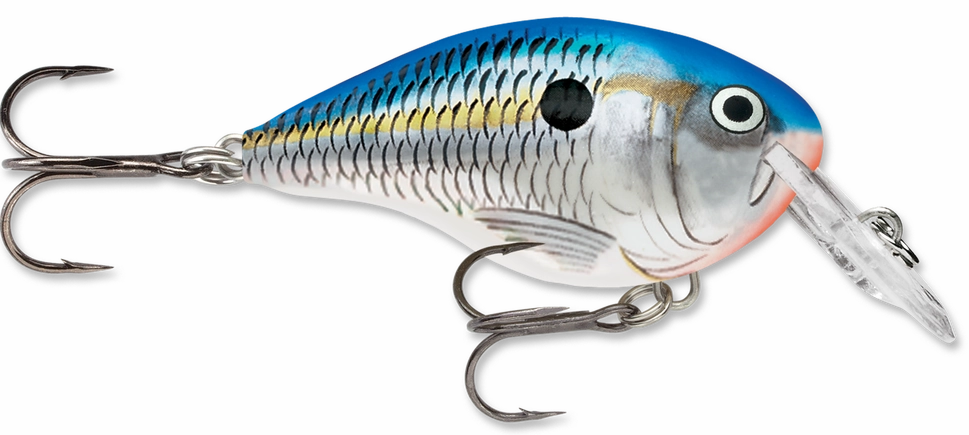 Rapala DT Series Crankbait DT4