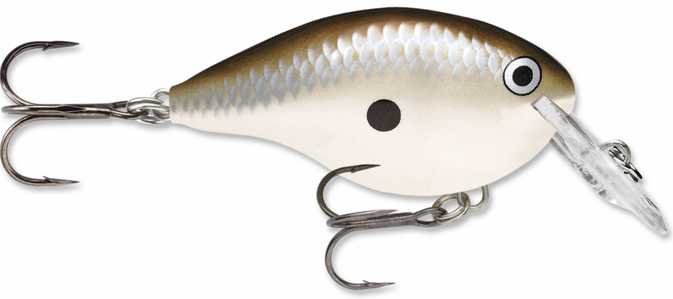 Rapala DT Series Crankbait DT4