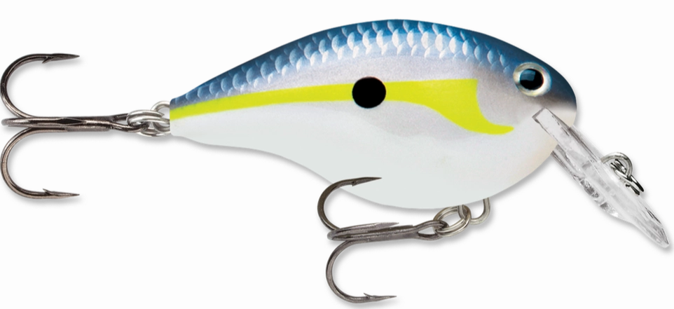 Rapala DT Series Crankbait DT4