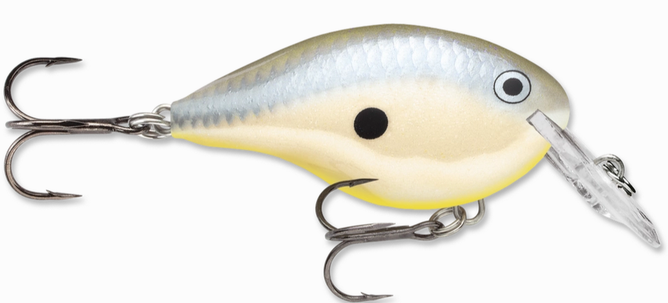 Rapala DT Series Crankbait DT4