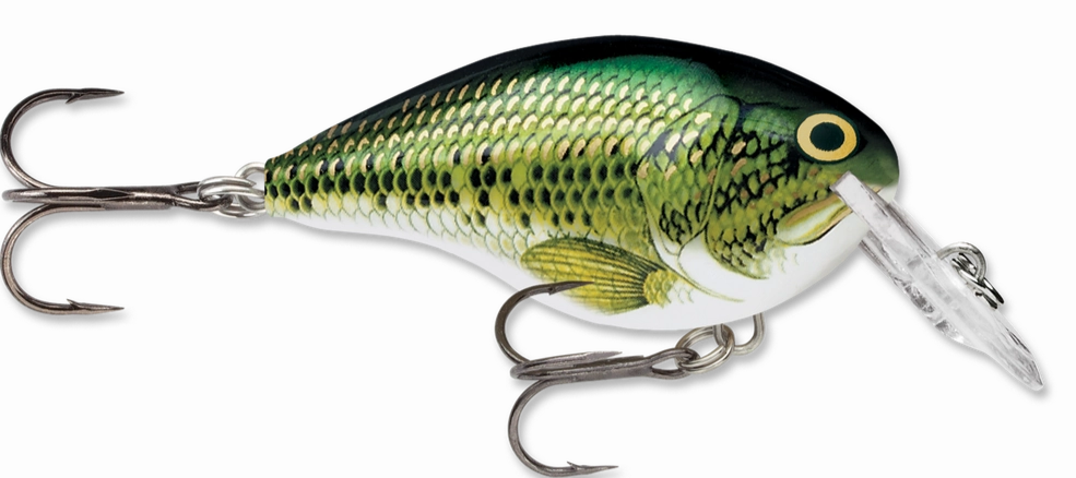 Rapala DT Series Crankbait DT4