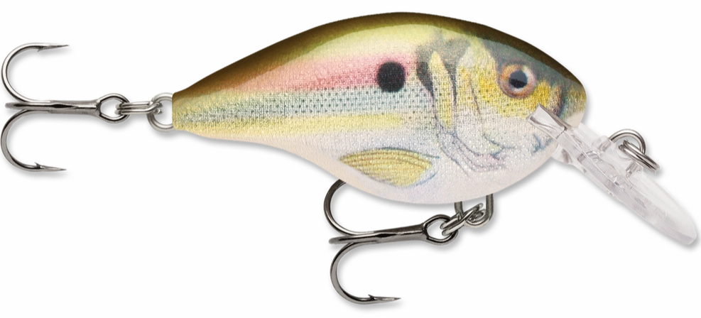 Rapala DT Series Crankbait DT4