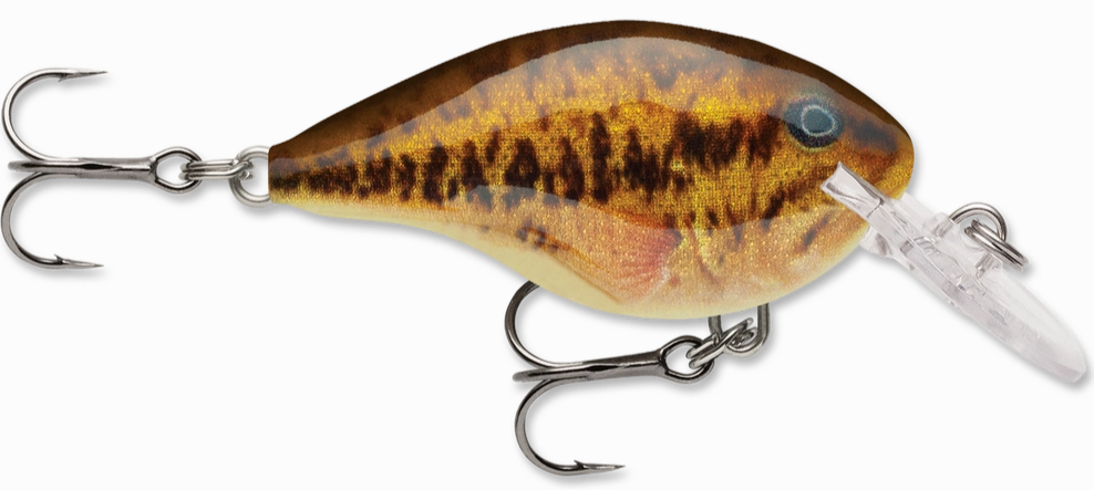 Rapala DT Series Crankbait DT4