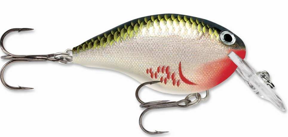 Rapala DT Series Crankbait DT4