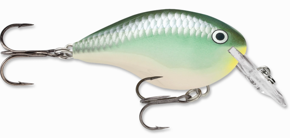Rapala DT Series Crankbait DT4
