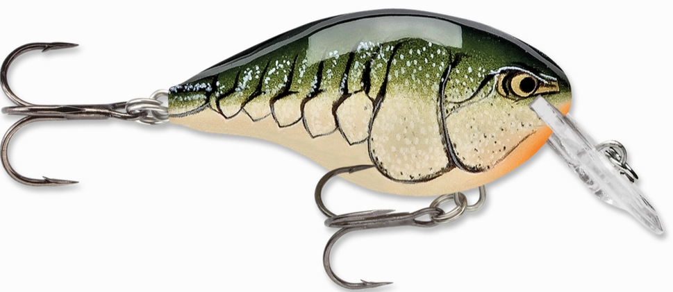 Rapala DT Series Crankbait DT4