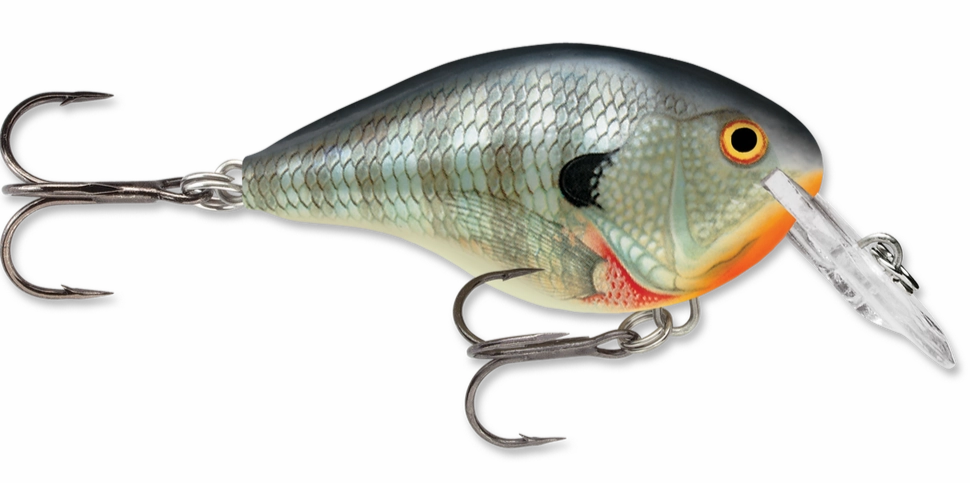 Rapala DT Series Crankbait DT4