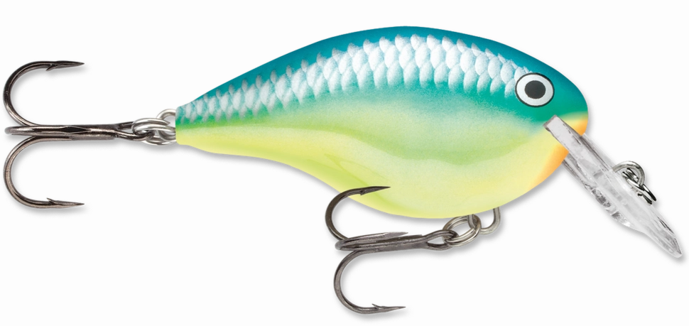 Rapala DT Series Crankbait DT4