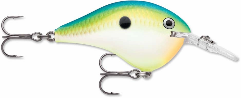 Rapala DT Series Crankbait DT6