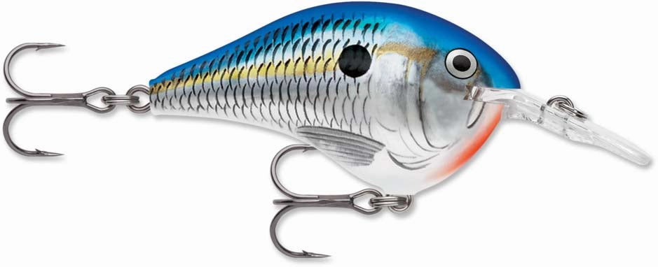 Rapala DT Series Crankbait DT6