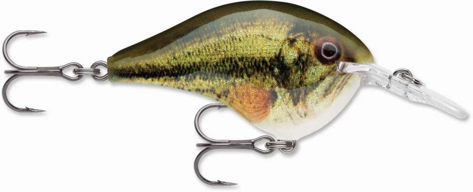 Rapala DT Series Crankbait DT6