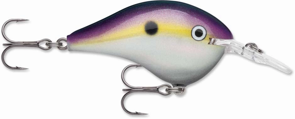 Rapala DT Series Crankbait DT6