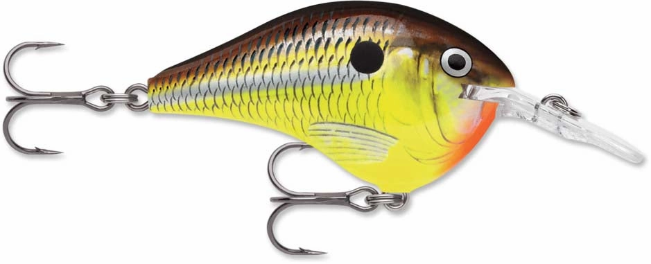 Rapala DT Series Crankbait DT6