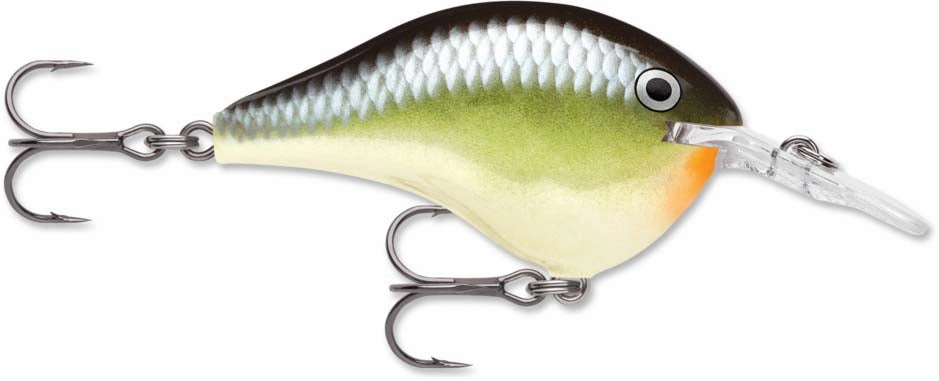 Rapala DT Series Crankbait DT6