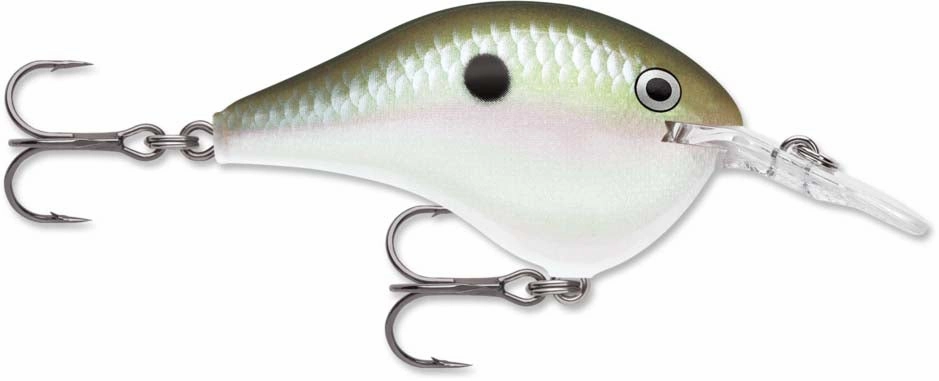 Rapala DT Series Crankbait DT6