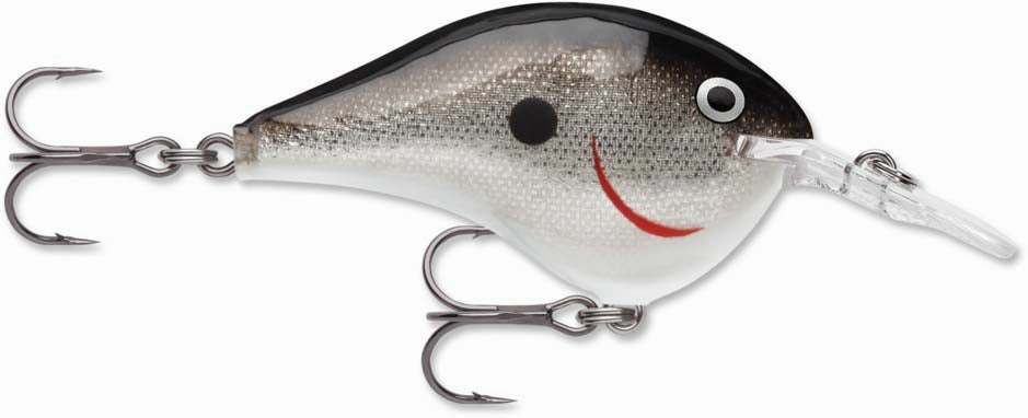 Rapala DT Series Crankbait DT6
