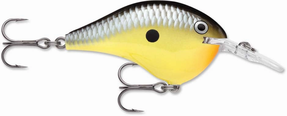 Rapala DT Series Crankbait DT6