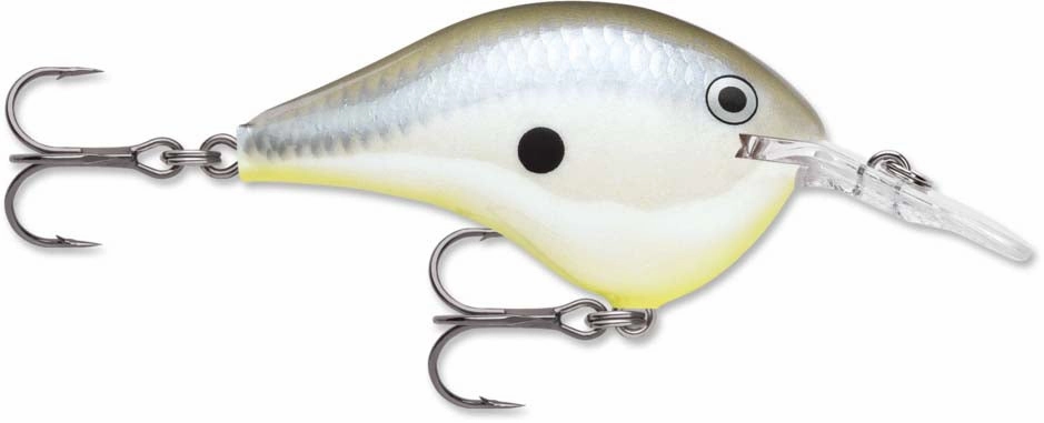 Rapala DT Series Crankbait DT6