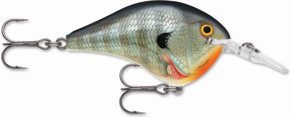 Rapala DT Series Crankbait DT6