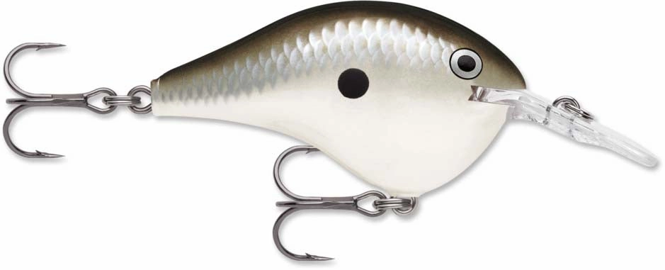 Rapala DT Series Crankbait DT6