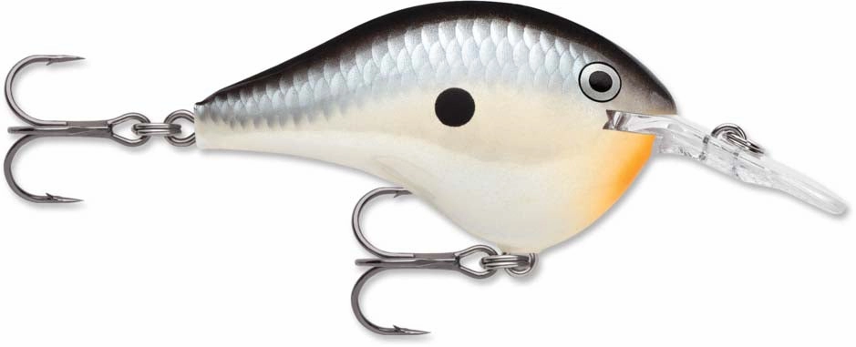 Rapala DT Series Crankbait DT6