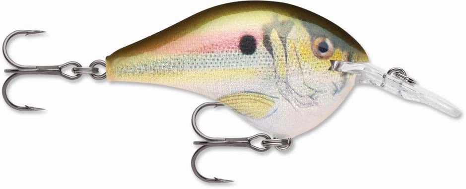 Rapala DT Series Crankbait DT6