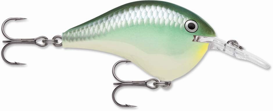 Rapala DT Series Crankbait DT6