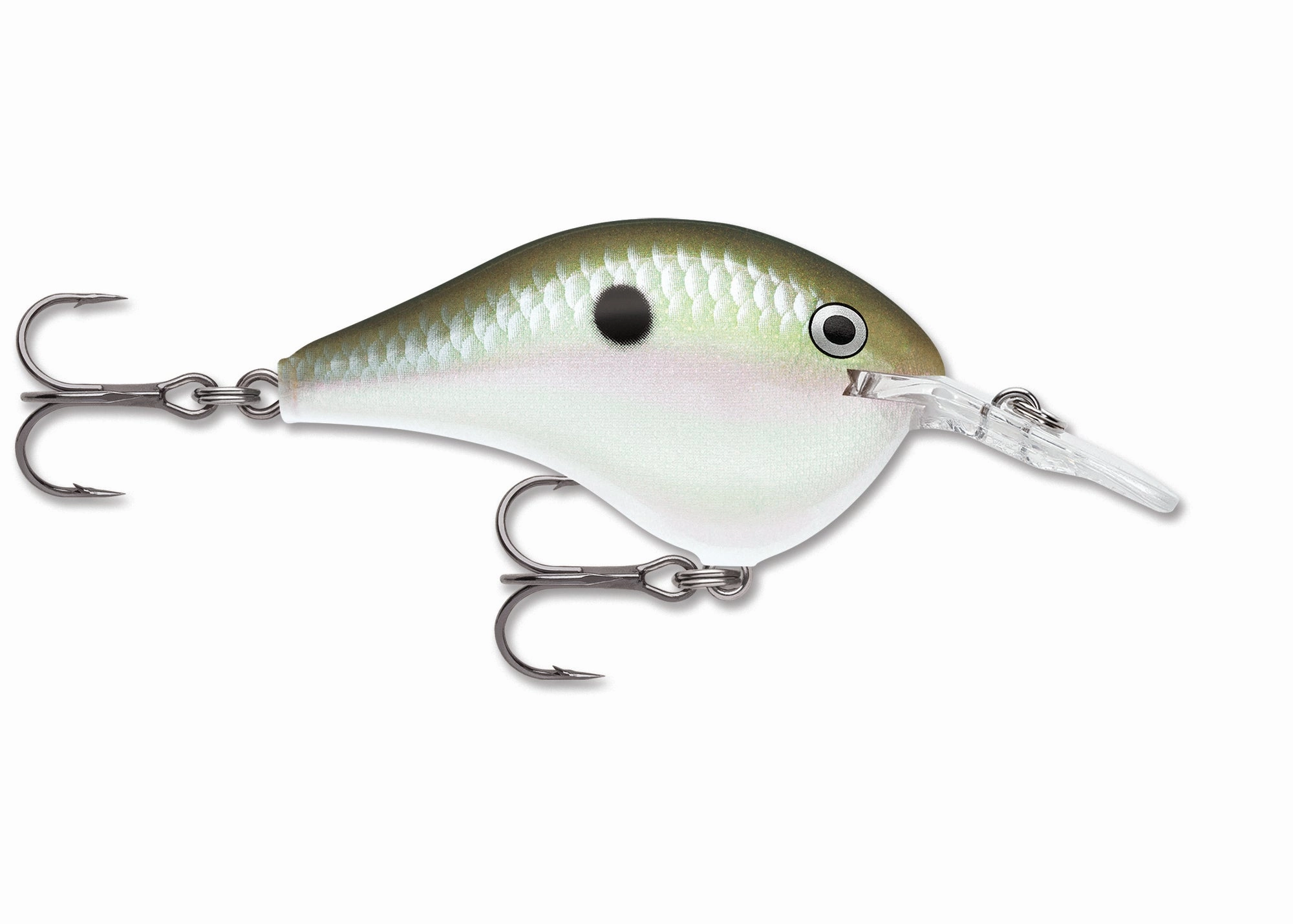 Rapala DT Series Crankbait DT6