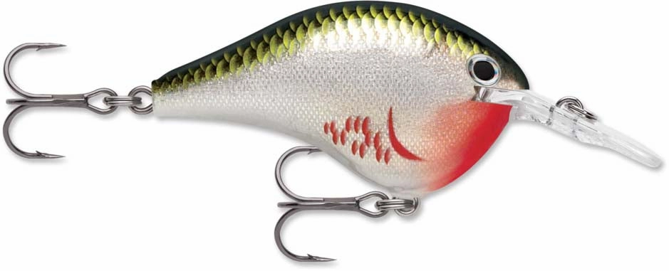 Rapala DT Series Crankbait DT6