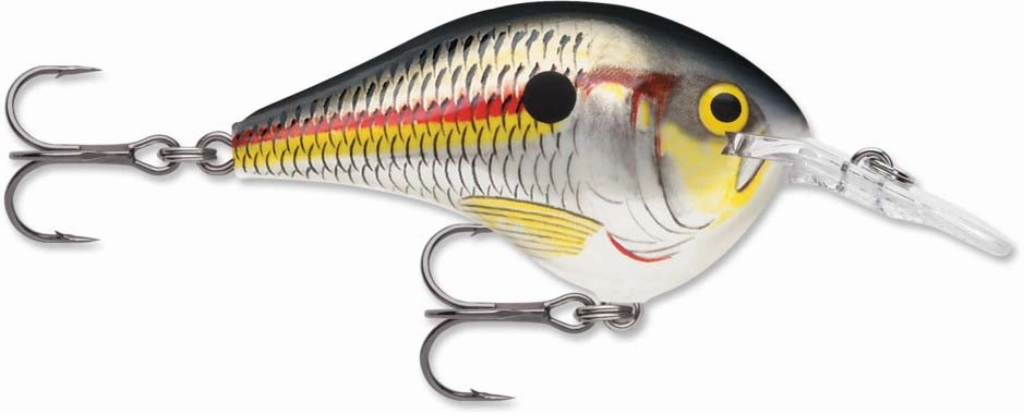 Rapala DT Series Crankbait DT6