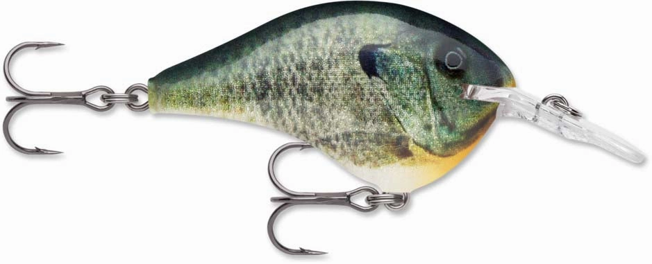 Rapala DT Series Crankbait DT6
