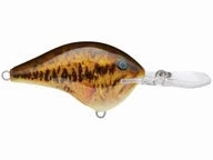 Rapala DT Series Crankbaits DT-20
