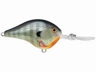 Rapala DT Series Crankbaits DT-20