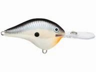 Rapala DT Series Crankbaits DT-20