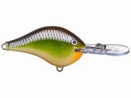 Rapala DT Series Crankbaits DT-20