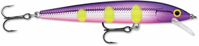 Rapala Husky Jerk 10 Jerkbait/Trolling Minnow