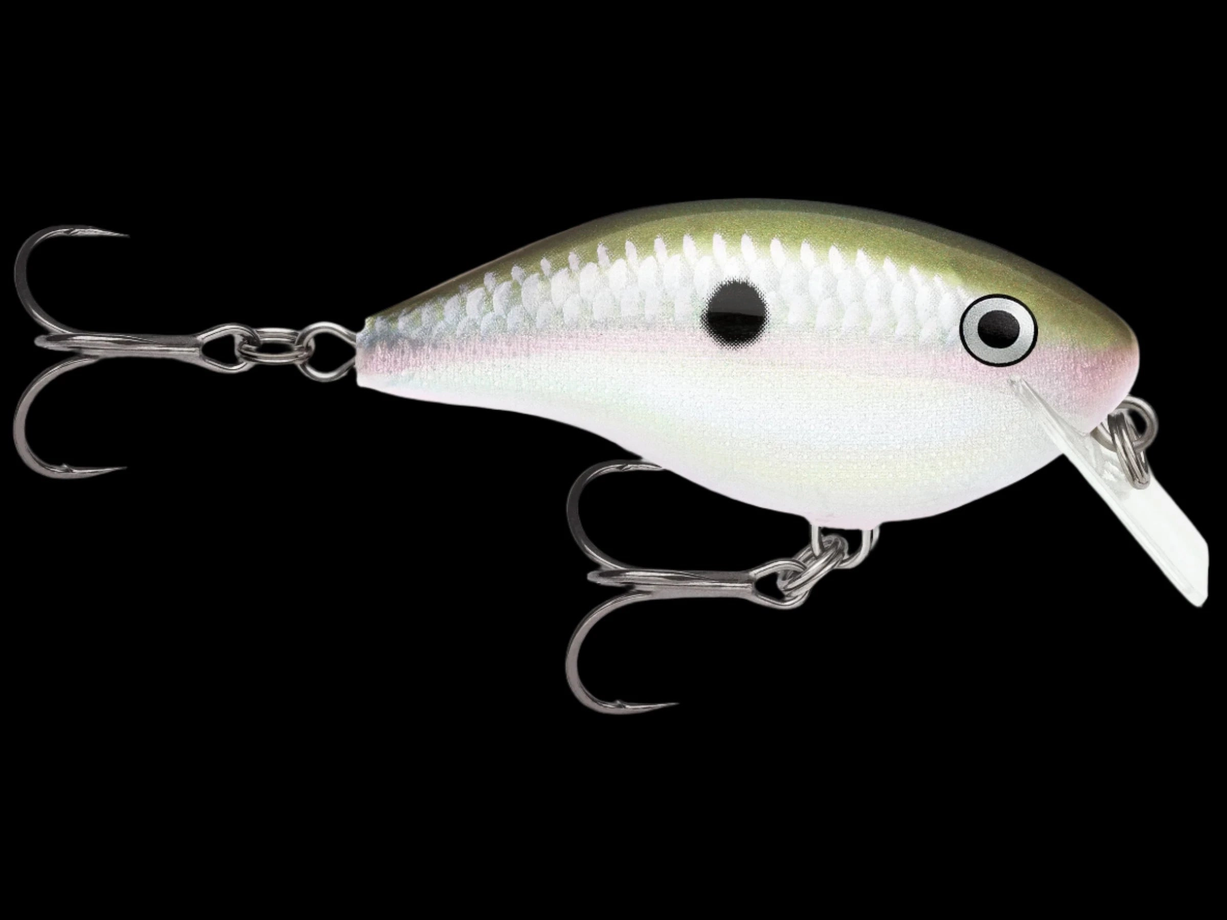 Rapala OG Big Rocco Crankbaits