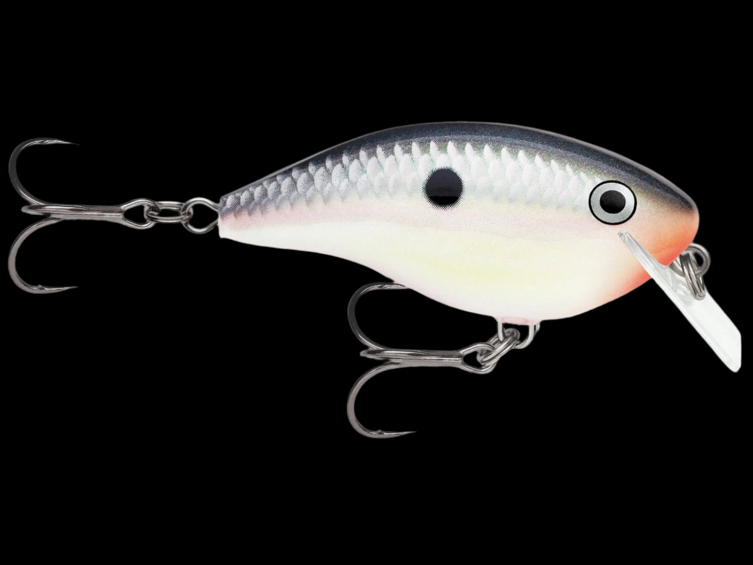 Rapala OG Big Rocco Crankbaits