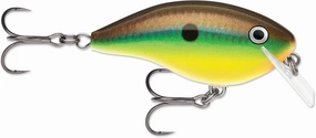 Rapala OG Rocco 05 Squarebill Crankbait - 2.5 Inch