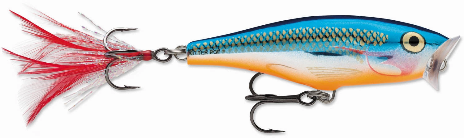 Rapala Skitter Pop 07 2 3/4 inch Topwater Popper
