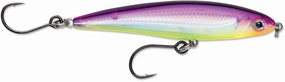 Rapala SXRT-10 X-Rap Twitchin' Minnow Twitchbait - 4 Inch