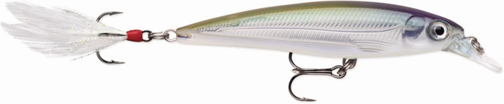 Rapala XR-10 X-Rap Medium Diving Jerkbait - 4 Inch
