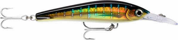 Rapala XRMXT-160 X-Rap Magnum Extreme Big Game Trolling Lure - 8 Inch