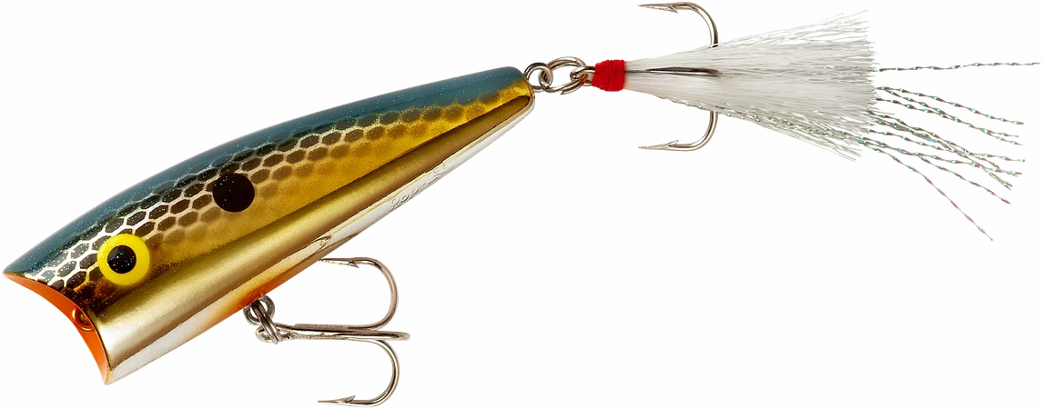Rebel Pop-R Topwater Popper