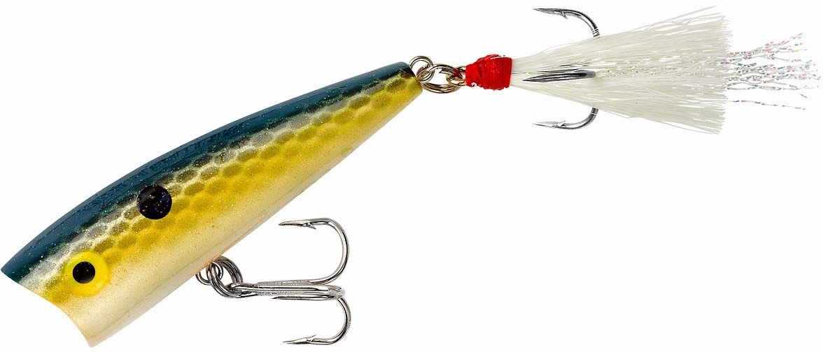 Rebel Pop-R Topwater Popper
