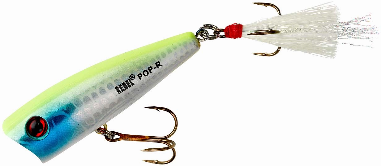 Rebel Pop-R Topwater Popper