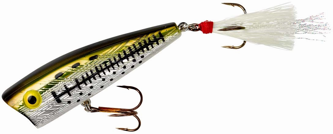 Rebel Pop-R Topwater Popper