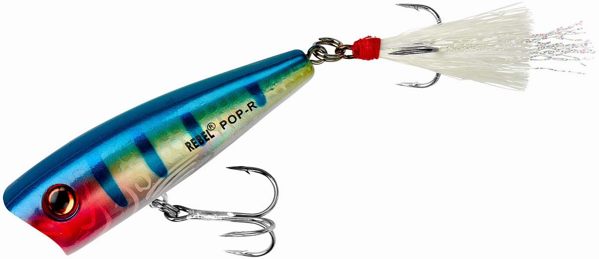Rebel Pop-R Topwater Popper