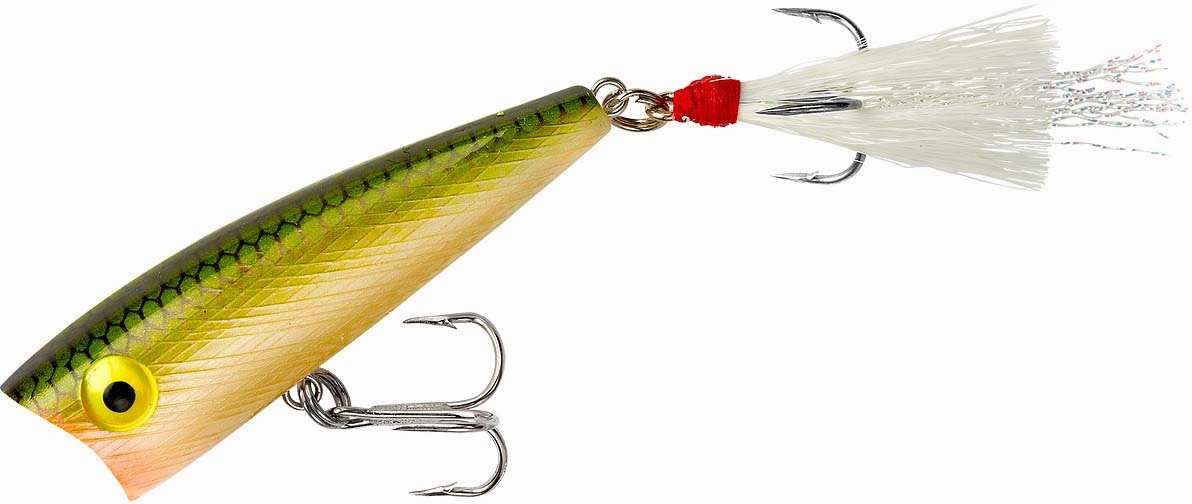 Rebel Pop-R Topwater Popper