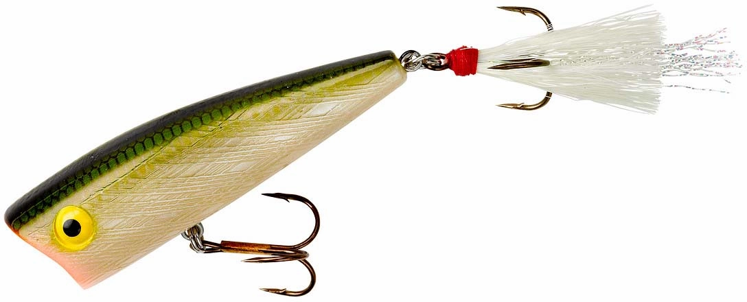 Rebel Pop-R Topwater Popper